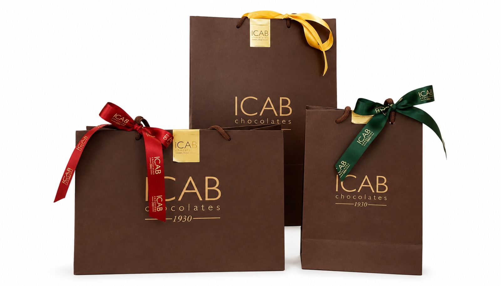 Sacolas de Papel 